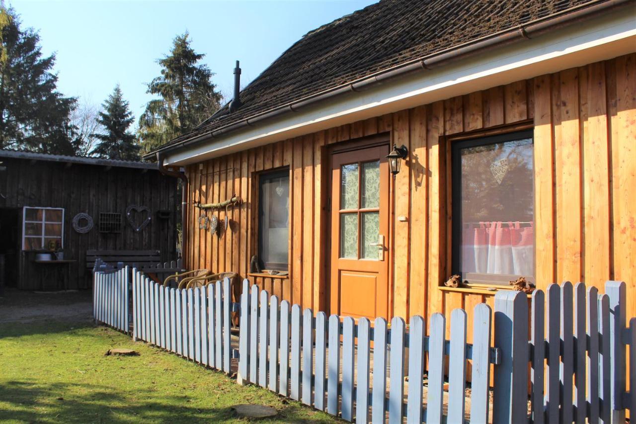 Ferienhaus/Ferienwohnung Reinecke Hodenhagen Εξωτερικό φωτογραφία